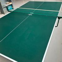 Tavolo Ping Pong