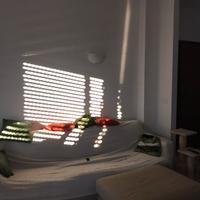 Divano letto matrimoniale poltrone e sofa