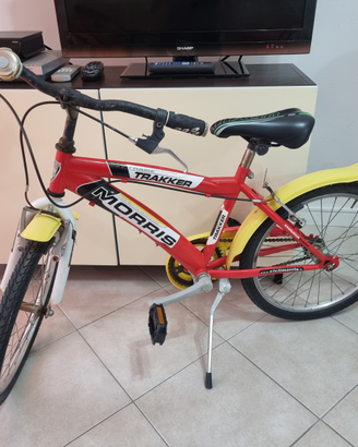 Bici '20 con gomme antiforatura