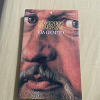 domenico starnone-via gemito