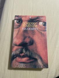 domenico starnone-via gemito