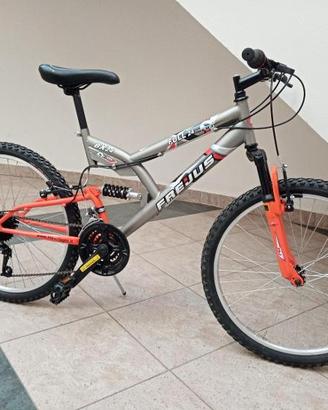 Bicicletta Bx24
