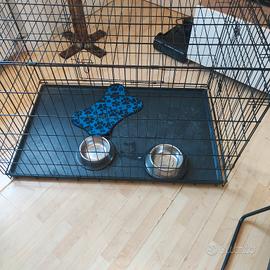 kennel per cani 