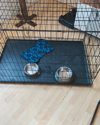 kennel per cani 