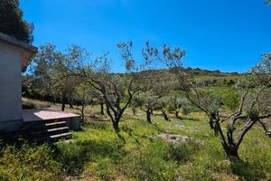 Terreno coltivato - cultivated land