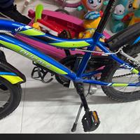 Bici ducale 16