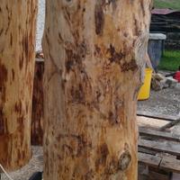 Ceppi per spaccare legna o per i fiori.