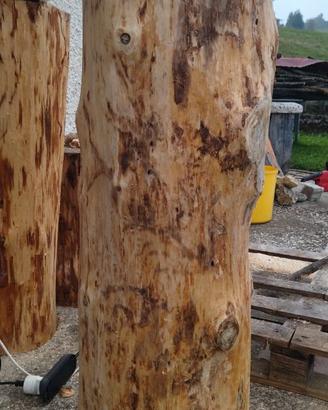 Ceppi per spaccare legna o per i fiori.