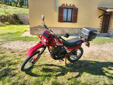 i moto morini Kanguro 350