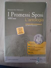 I promessi sposi l'antologia 