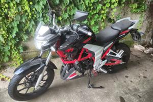 Senke SK125 - 2021