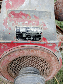 Motozappa Ruggerini PRA. 85