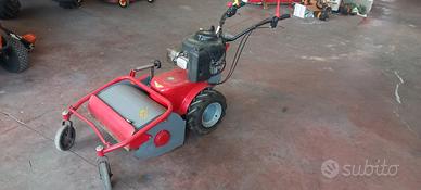 Trinciasermenti Benassi TR 60