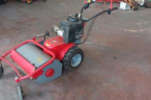 Trinciasermenti Benassi TR 60