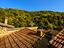 Immagine 29