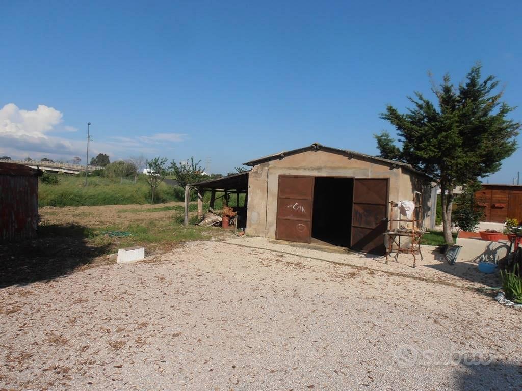 Rif.AA-T34| terreno agricolo campiglia marittima - Vista 5