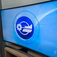 TV Samsung curved 55 pollici- DIFETTO SCHERMO