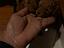 Immagine 4