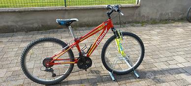 mtb Rollmar climb 24