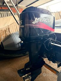 Mercury 75 2t