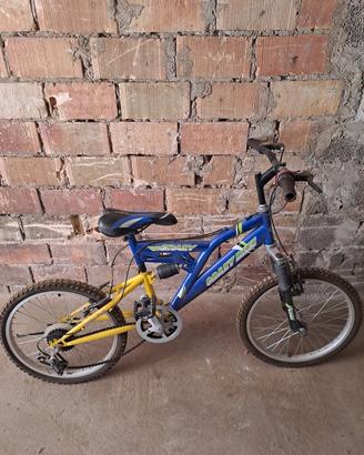 bicicletta 