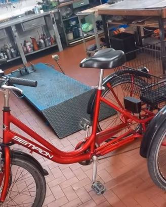 Triciclo elettrico adulti