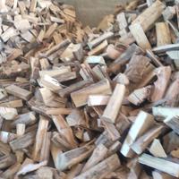 legna da ardere stagionata Toscana 