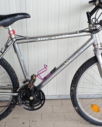 Mountain Bike Vintage Weber JM 100 anni '90 