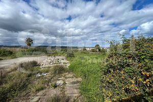 Terreno Agricolo Torregrotta [gabnord76VRG]