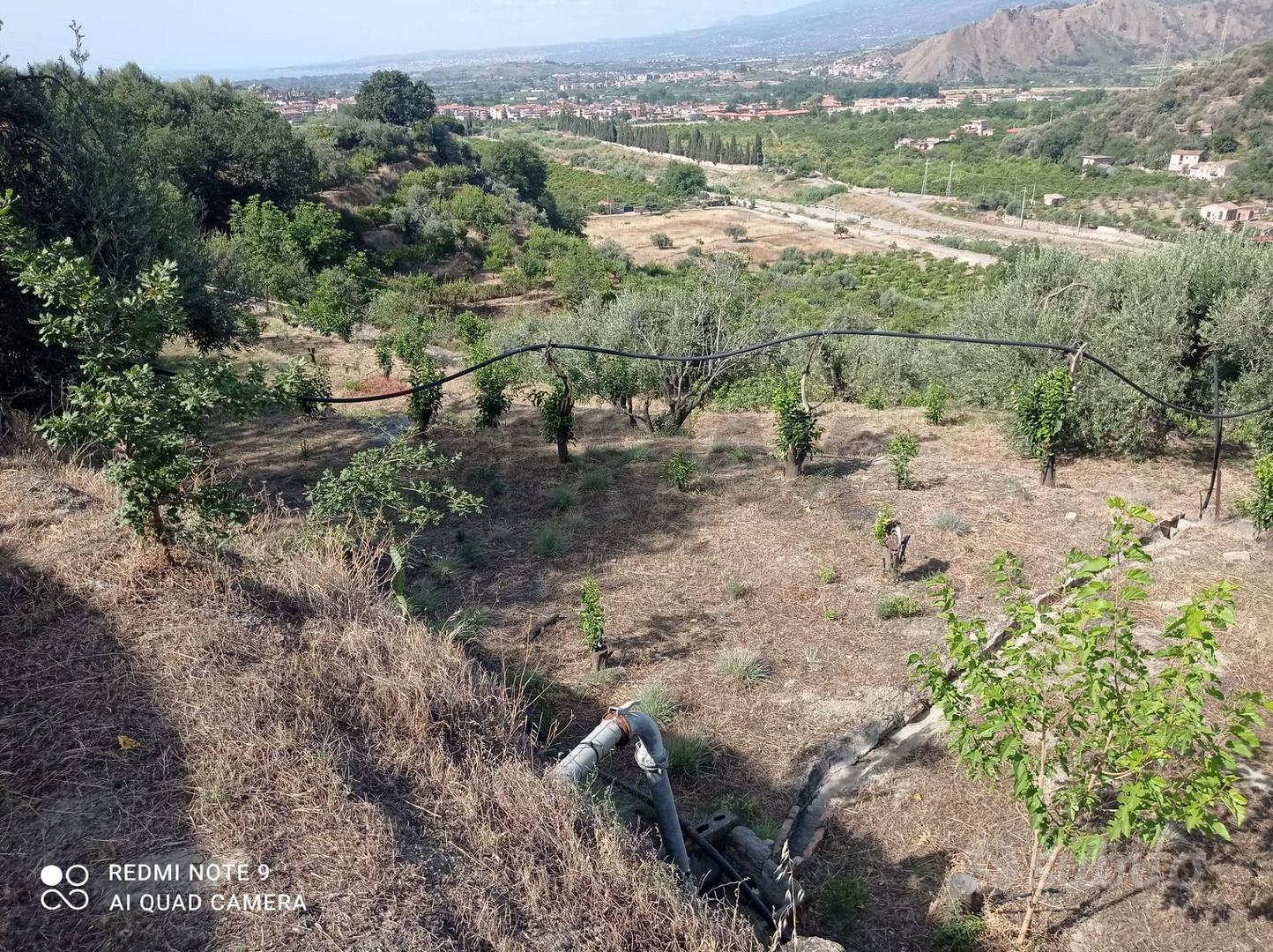 Terreno - Taormina - Vista 4