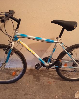 Bici Mountain bike