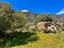 Immagine 7