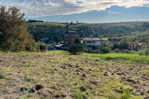 Terreno agricolo metri quadri 3.800
