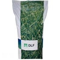 Sementa per tappeto erboso DLF