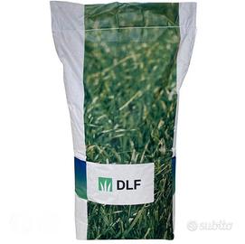 Sementa per tappeto erboso DLF