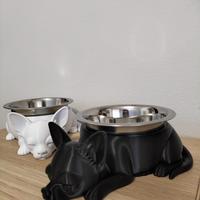 2 bellissime ciotole per cani