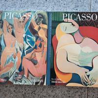 Picasso 