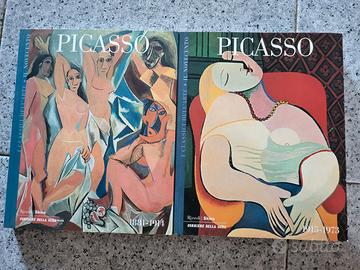 Picasso 