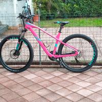 bici mountain bike
