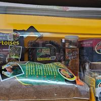 terrario per rettili 