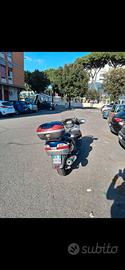 scooter burgman executive 650 