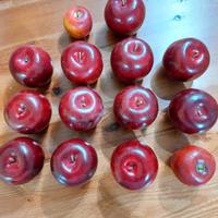 mele rosse frutta finta n.14  di alta qualità 