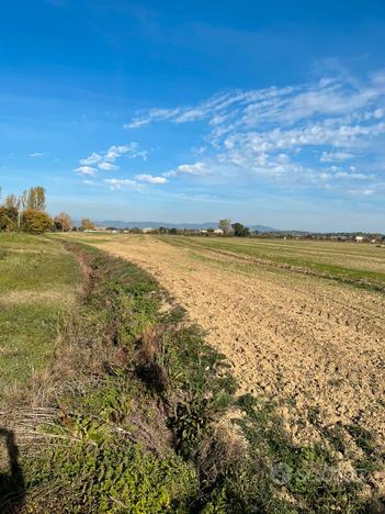 Terreno agricolo fronte strada