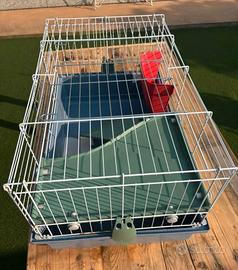Gabbia grossa per coniglio 70  x 50