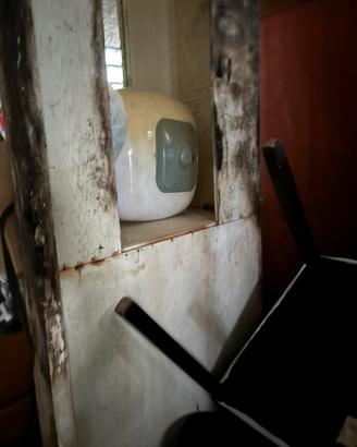 Articoli x interno esterno