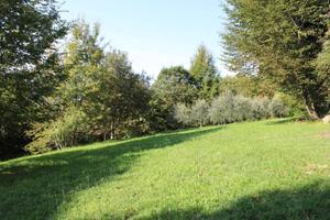 Terreno di 6200 m² a Almenno San Bartolomeo