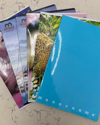 Set di sei quaderni.