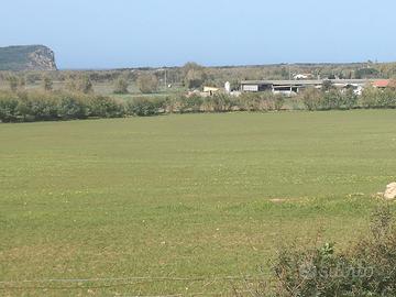Terreno a porto conte alghero