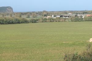 Terreno a porto conte alghero