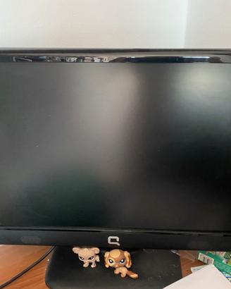 Monitor Compaq 21,5 pollici